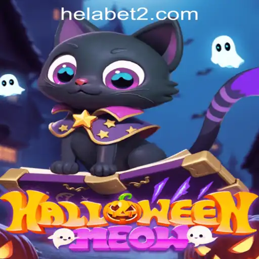 Discovering the Thrills of HalloweenMeow