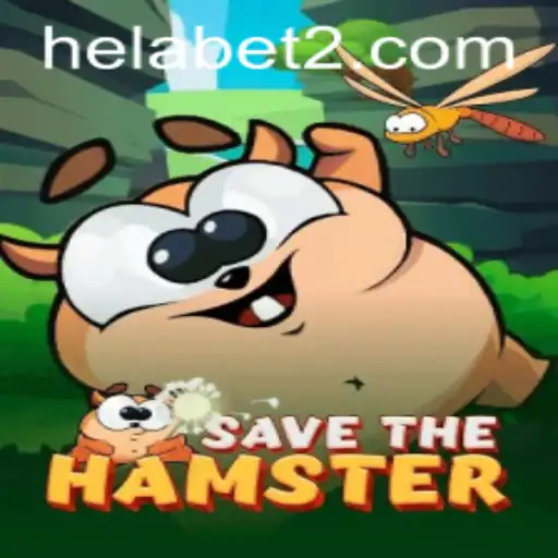 SavetheHamster: A Unique Gaming Experience